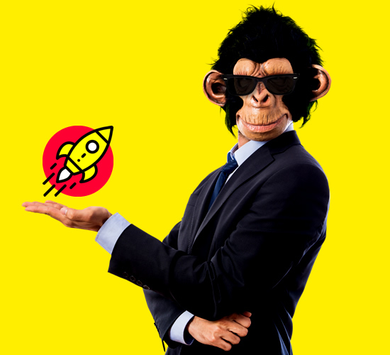 Mr. Ape - Branding - Diseño de Marca